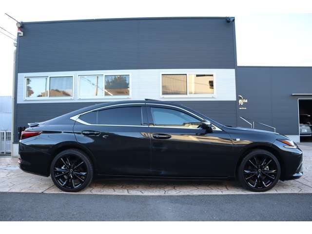 LEXUS ES300h