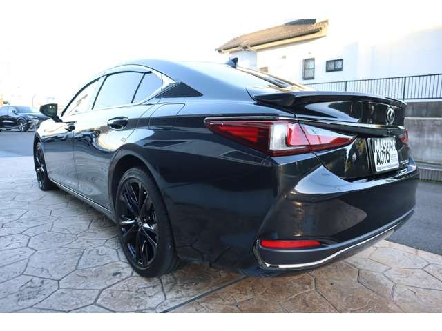 LEXUS ES300h