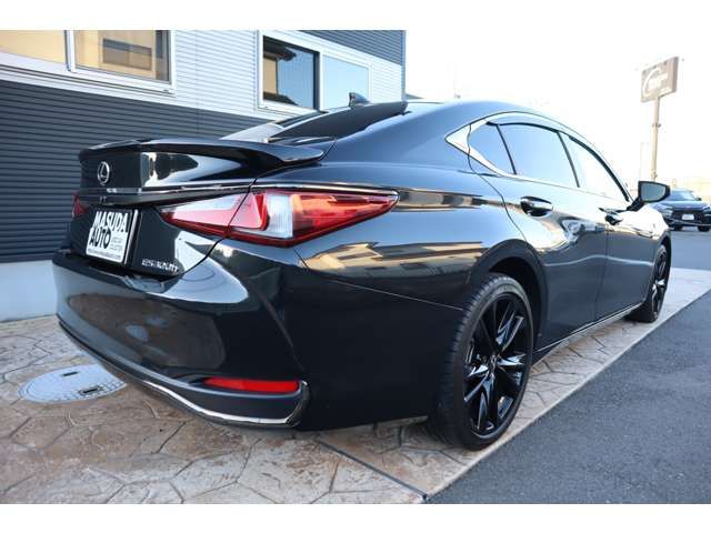 LEXUS ES300h
