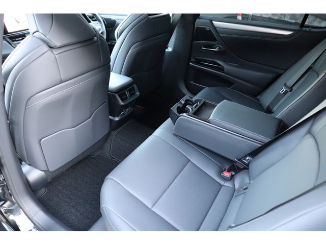 LEXUS ES300h