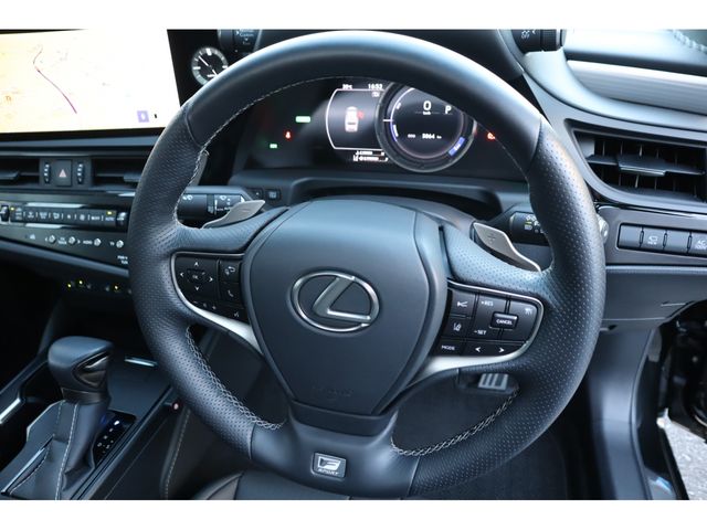 LEXUS ES300h