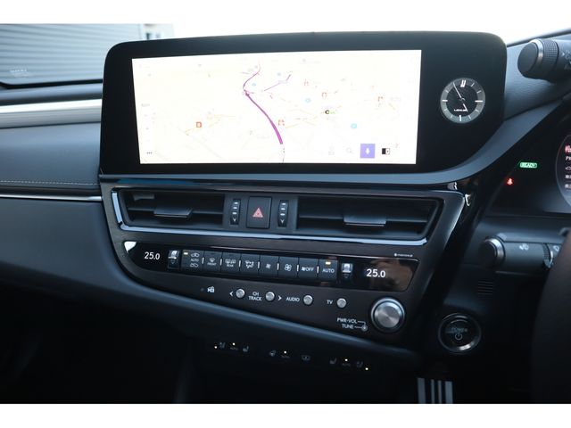 LEXUS ES300h