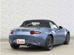 ROADSTER