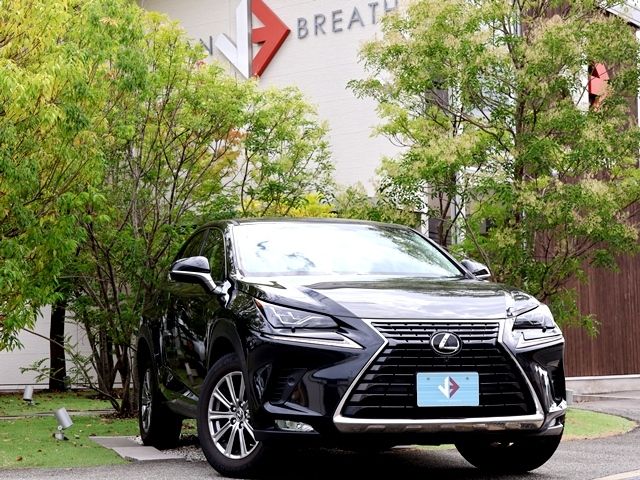 LEXUS NX300