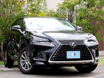 LEXUS NX300