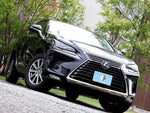 LEXUS NX300