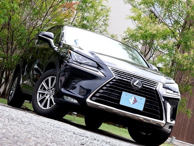 LEXUS NX300