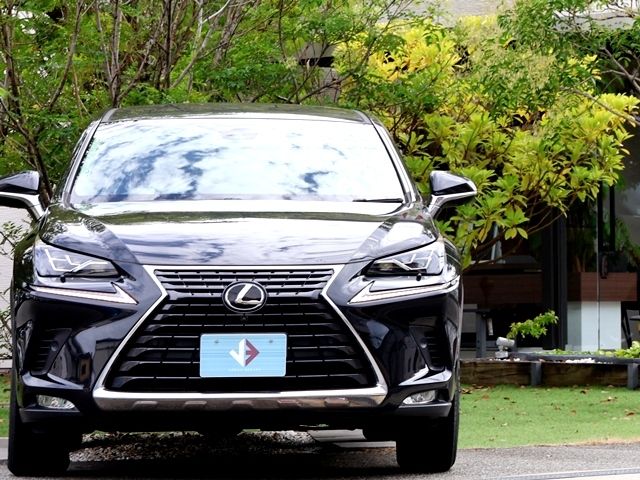 LEXUS NX300