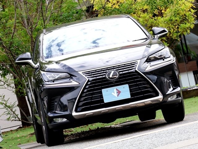 LEXUS NX300