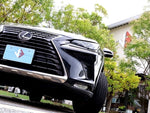 LEXUS NX300