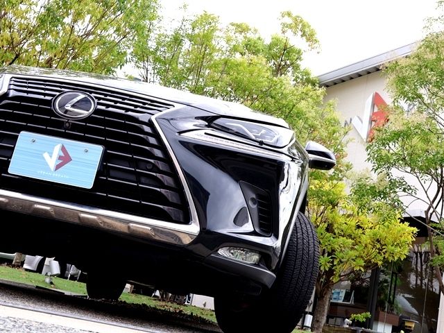 LEXUS NX300