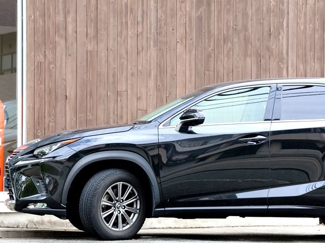 LEXUS NX300