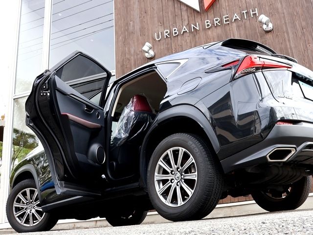 LEXUS NX300