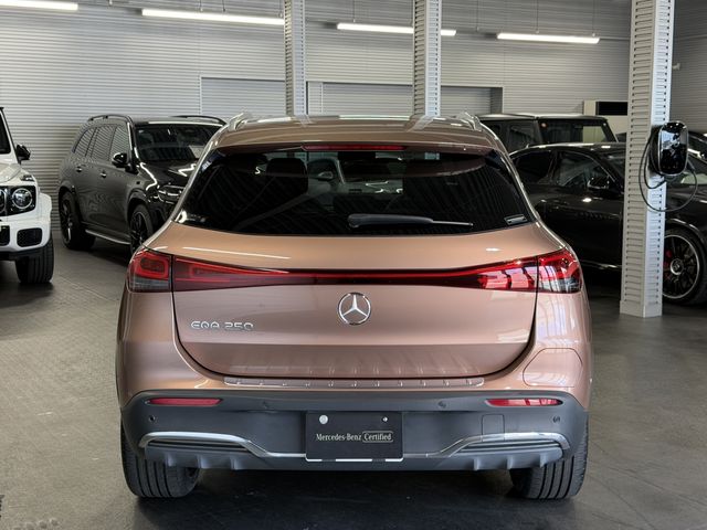 MERCEDES BENZ EQA