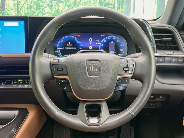 CROWN SPORT