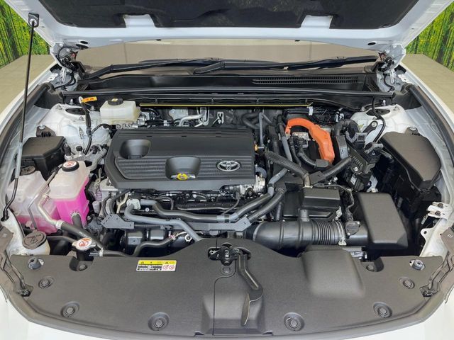 CROWN SPORT