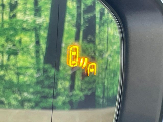 CROWN SPORT