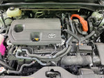 CROWN SPORT