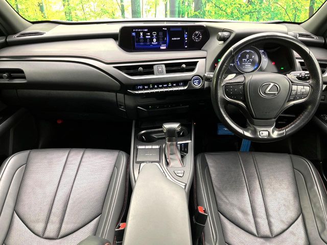 LEXUS UX250h