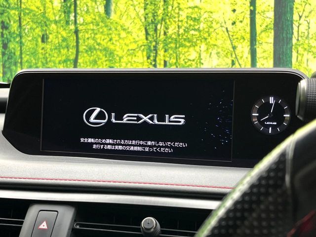 LEXUS UX250h