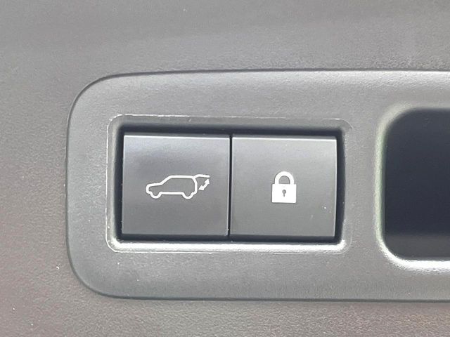 LEXUS UX250h