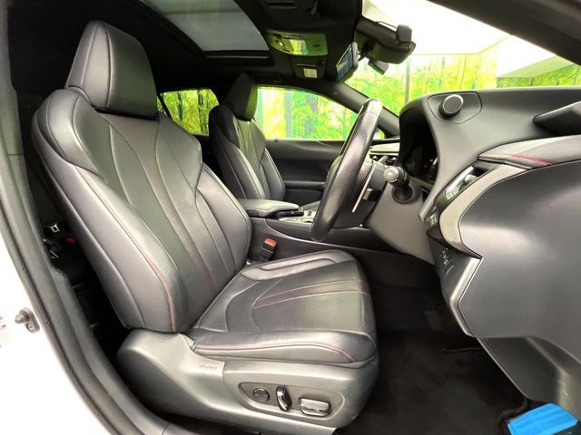 LEXUS UX250h