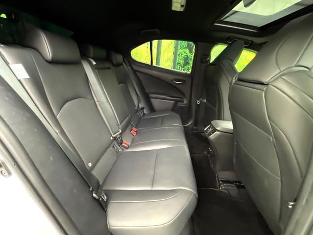 LEXUS UX250h