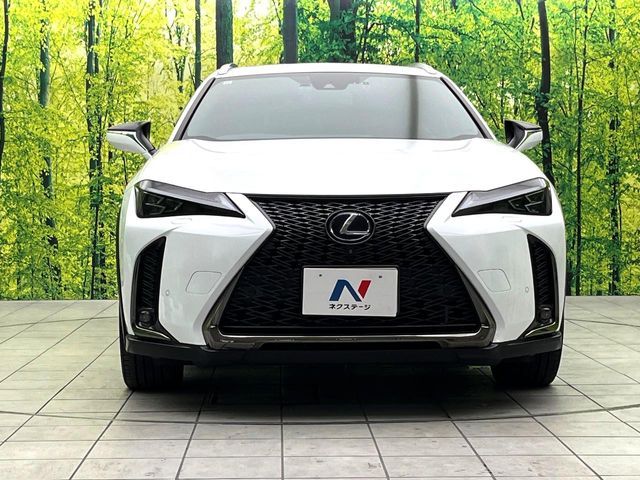 LEXUS UX250h
