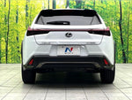 LEXUS UX250h