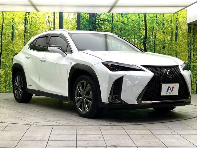 LEXUS UX250h