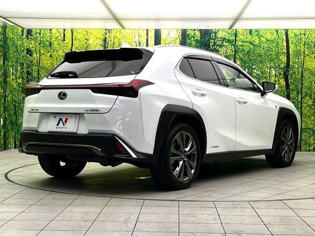 LEXUS UX250h