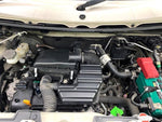 ALTO LAPIN