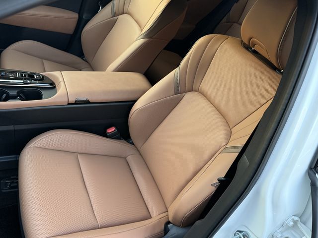 CROWN SPORT