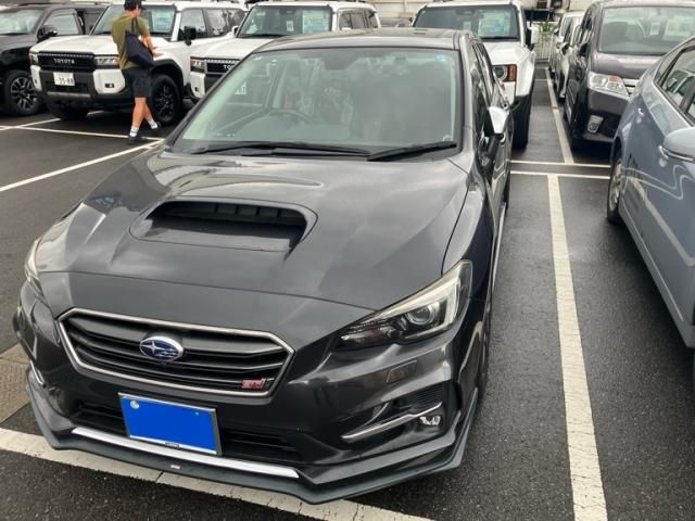 LEVORG