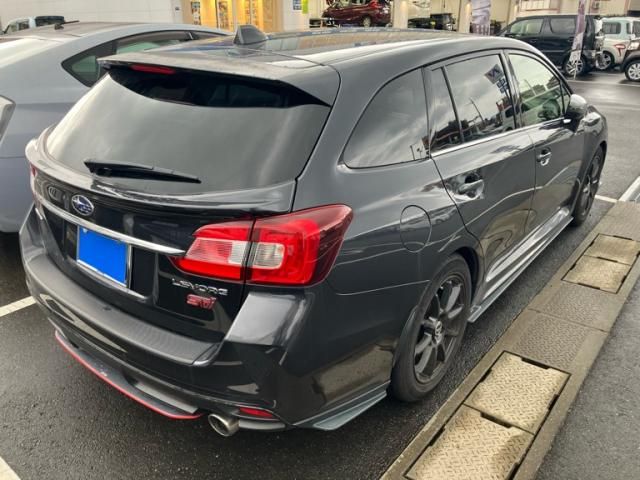 LEVORG