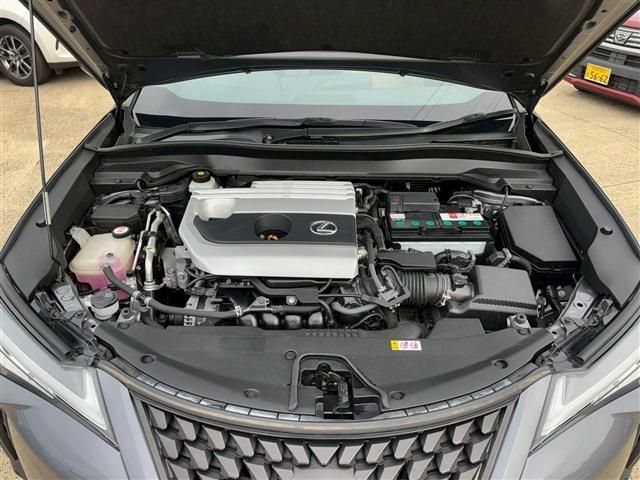 LEXUS UX200