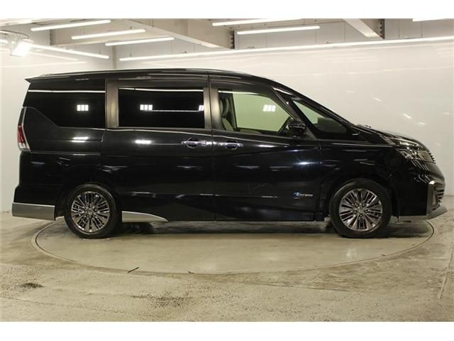 SERENA  S-HYBRID