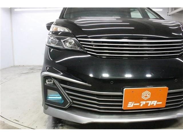 SERENA  S-HYBRID