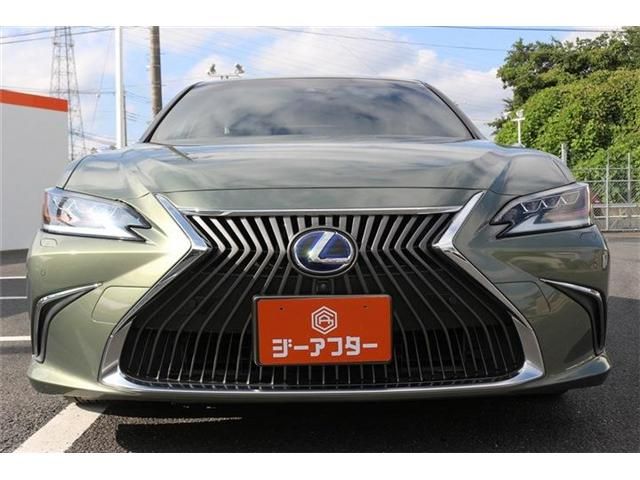 LEXUS ES300h