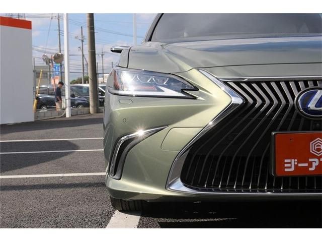 LEXUS ES300h