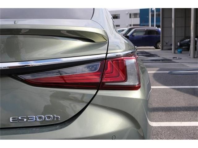 LEXUS ES300h