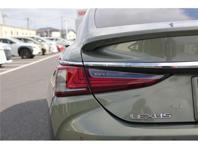 LEXUS ES300h