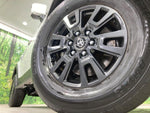 LANDCRUISER 250