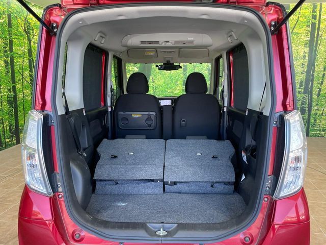 DAYZ ROOX