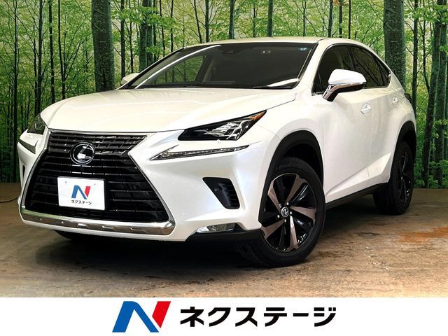 LEXUS NX300