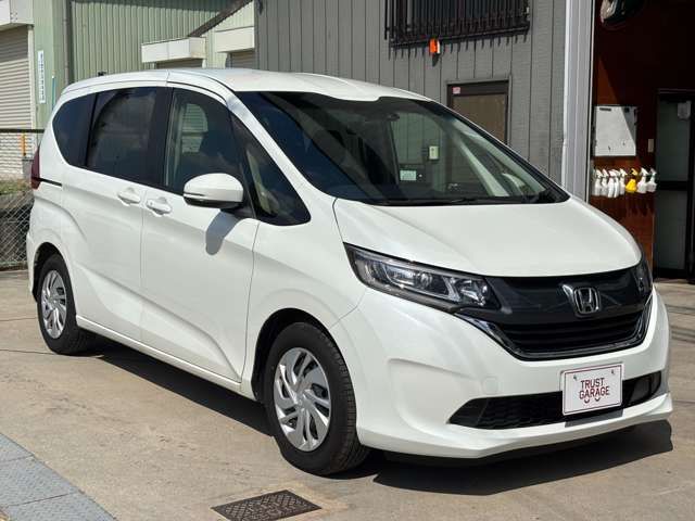 FREED plus