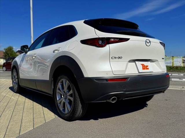 CX-30