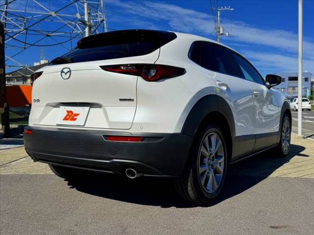 CX-30