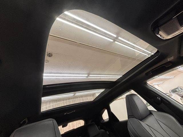 LEXUS RX500h