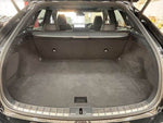 LEXUS RX500h